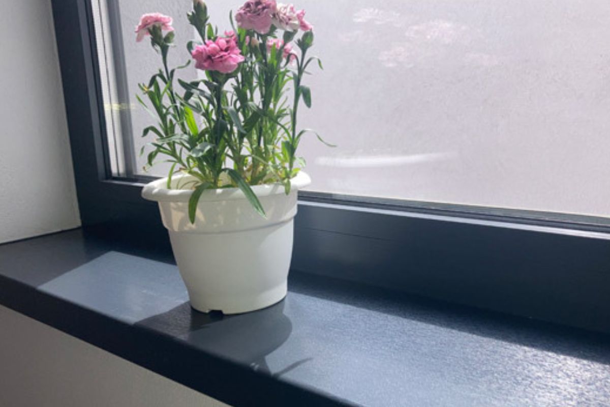 Ukázka úklidu společných prostor od Elsa Clean